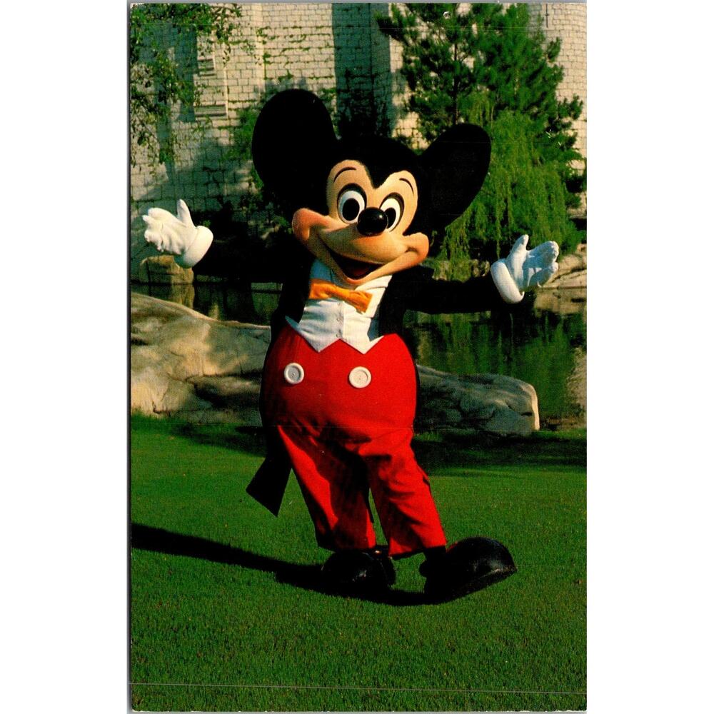 Walt Disney World Mickey Mouse 1983 Vintage Postcard SP17-15
